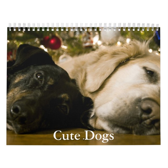 Süßer Hundekalender Kalender (Titelbild)