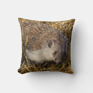 Süßer Igel auf Stubelfeldern Kissen