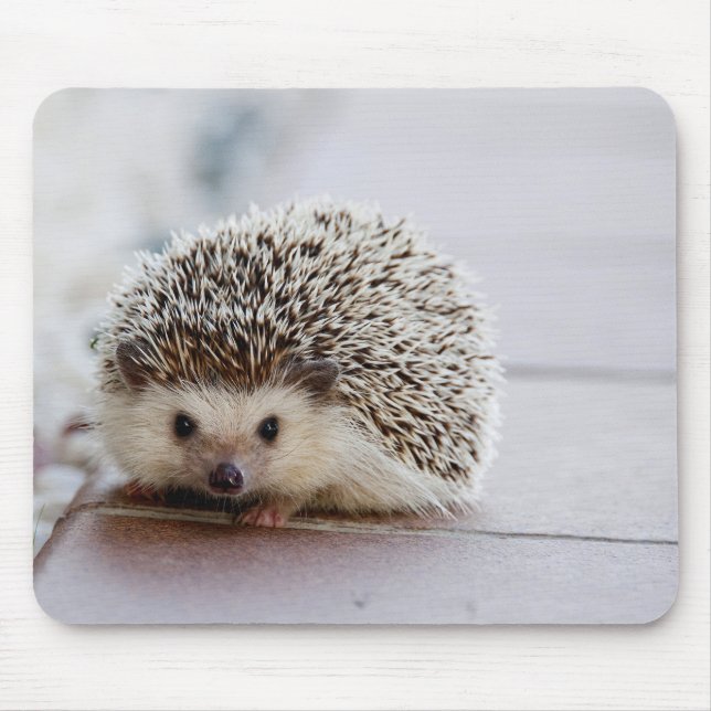 Süßer Igel, Mauspad (Vorne)