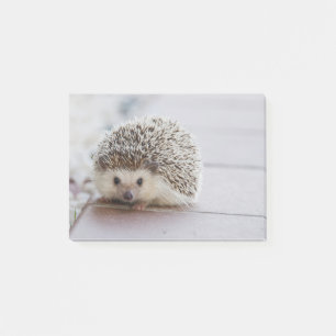 Süßer Igel Post-it Klebezettel