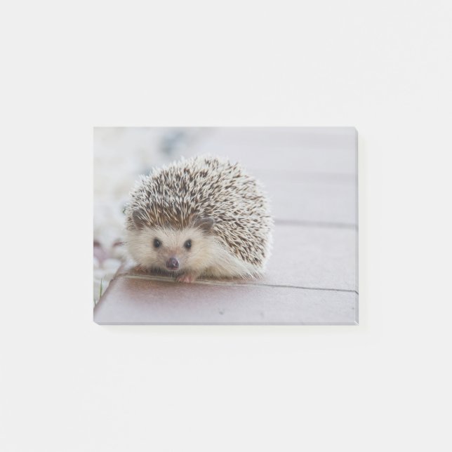 Süßer Igel Post-it Klebezettel (Vorderseite)