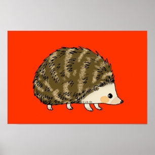 Süßer Igel Poster