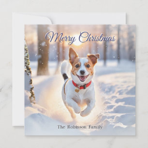 Süßer Jack-Russell-Hund Winter Schnee Weihnachten