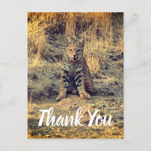 Süßer junger Bobcat Dankeschön Postkarte