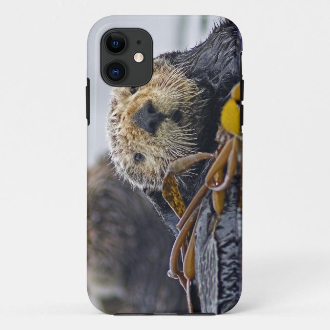 Süßer kalifornischer Seeotter (Enhydra lutris) Case-Mate iPhone Hülle (Rückseite)
