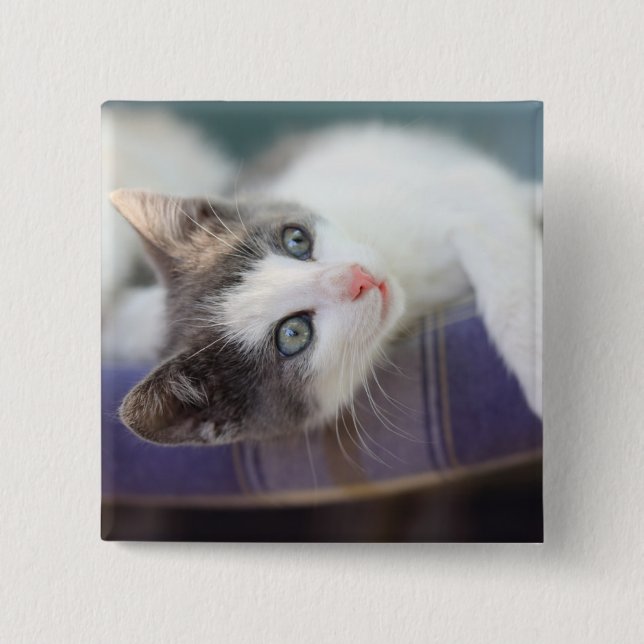 Süßer Kitty im karierten Bett Button (Vorderseite)