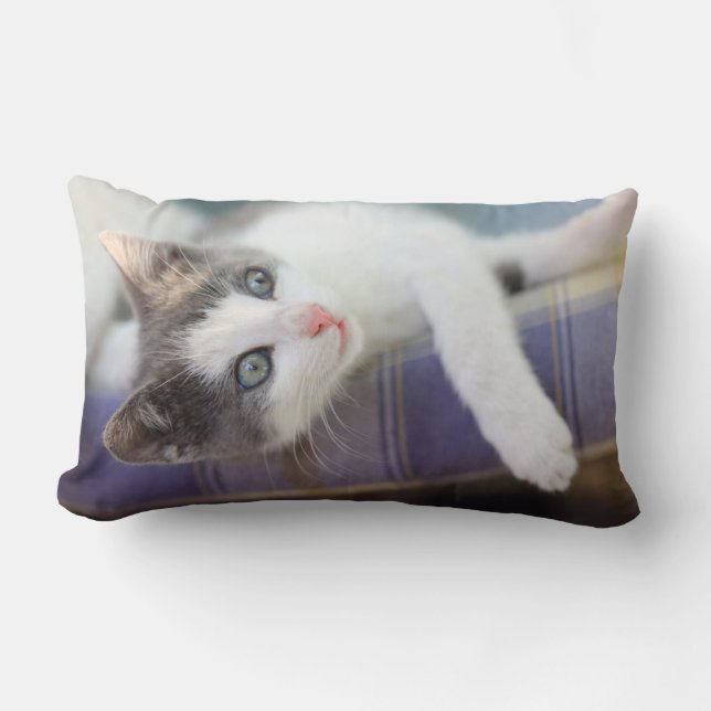 Süßer Kitty im karierten Bett Lendenkissen (Vorderseite)
