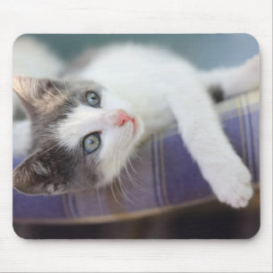 Süßer Kitty im karierten Bett Mousepad