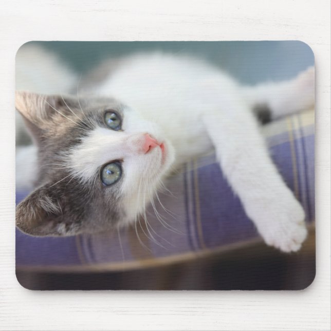 Süßer Kitty im karierten Bett Mousepad (Vorne)