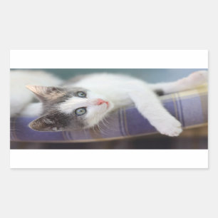 Süßer Kitty im karierten Bett Rechteckiger Aufkleber