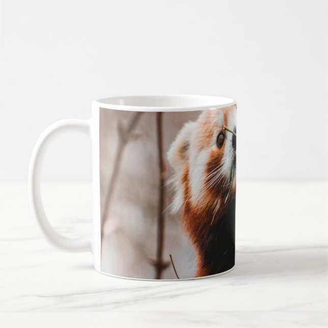 SÜßER KOALA-BÄR KAFFEETASSE (Links)
