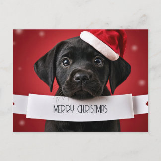 Süßer Labrador Retriever rotes Weihnachten