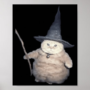 Süßer lustiger Zauberer-Katze seltsames Kätzchen K Poster