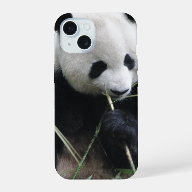 Süßer Panda iPhone 15 Hülle (Rückseite)