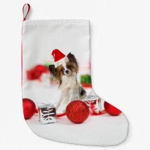 Süßer Papillon-Hund mit Weihnachtsmannmütze Kleiner Weihnachtsstrumpf