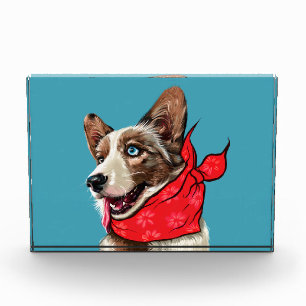 Süßer Pembroke Welsh Corgi Fotoblock