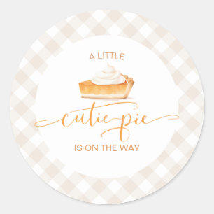 Süßer Pie-Kürbiskuchen Herbst Karo Baby Shower Runder Aufkleber