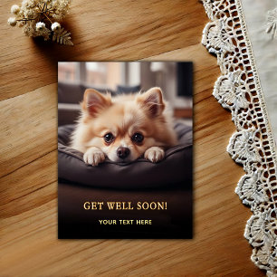 Süßer Pomeranian Gute Besserung Postkarte