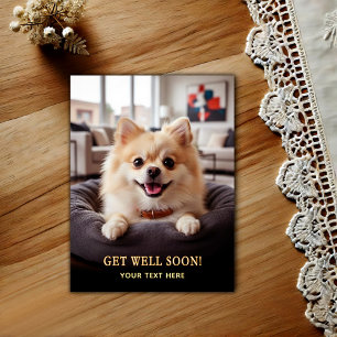 Süßer Pomeranian Gute Besserung  Postkarte