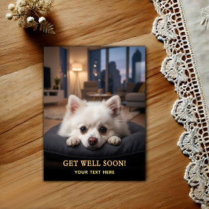 Süßer Pomeranian Gute Besserung Postkarte