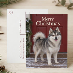 Süßer Pomsky-Welpe Hundeliebhaber Frohe Weihnachte Feiertagspostkarte