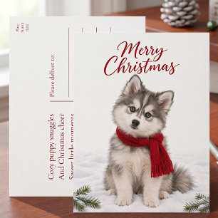 Süßer Pomsky-Welpe Hundeliebhaber Weihnachten