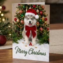 Süßer Pomsky-Welpe-Hundliebhaber-Santa-Hut-Weihnac