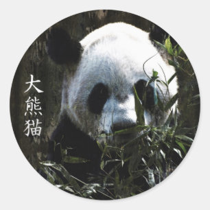 Süßer Riesen-Panda-Bär mit leckeren Bambusblättern Runder Aufkleber