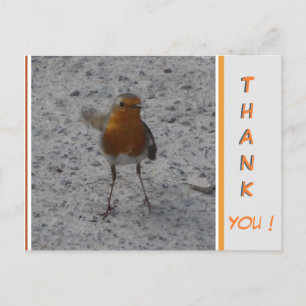 Süßer Robin DANKE Postkarte