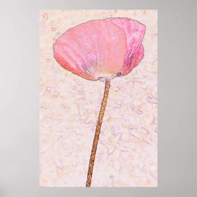 Süßer rosa Mohn ...poster Poster (Vorne)