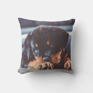 Süßer Rottweiler-Welpe ruht Kissen