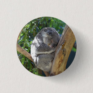 Süßer schlafender Koala im Baum Button