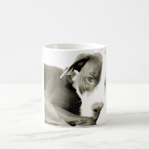 süßer schläfriger faule Pit Bull Hund Kaffeetasse