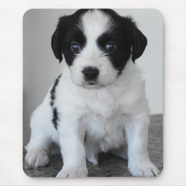 Süßer schwarz-weißer Welpe Mousepad (Vorne)