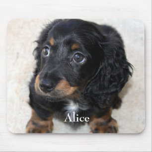 Süßer schwarzer Dachshund-Welpe Mousepad