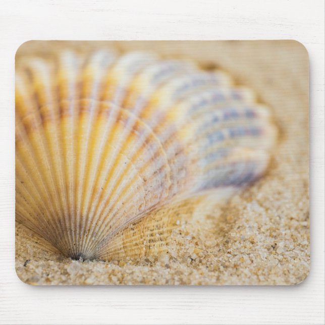 Süßer Seashell Mousepad (Vorne)