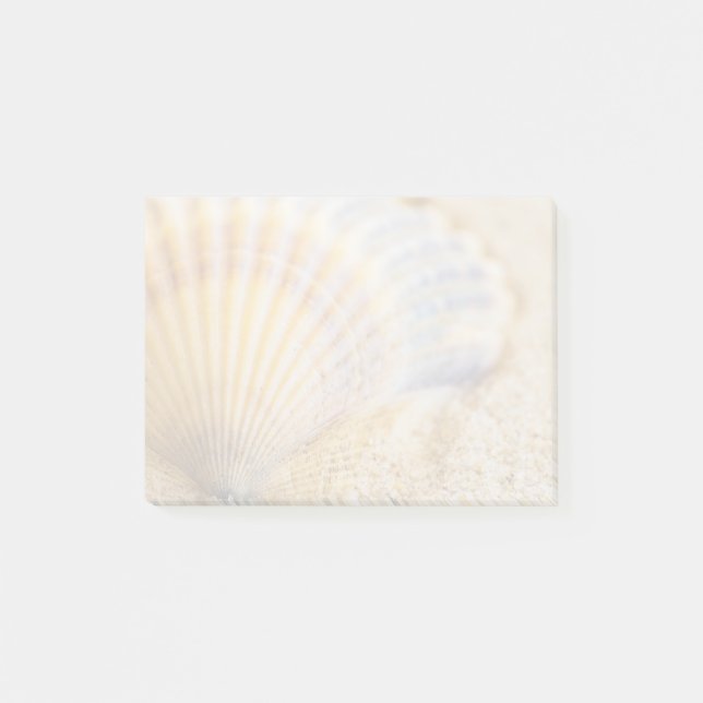 Süßer Seashell Post-it Klebezettel (Vorderseite)