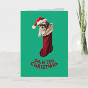 Süßer Shih Tzu Hund Weihnachten Karte