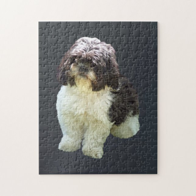 Süßer Shih Tzu Welpe (Vertikal)