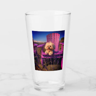 Süßer Shih Tzu Welpe lächelt, violetter Stuhl Glas