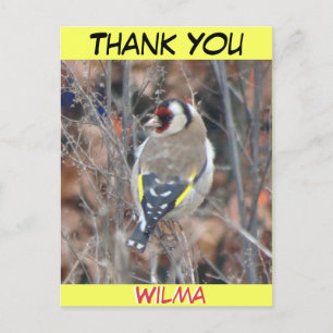 Süßer Stieglitz Kunden-Text THANK YOU Postkarte