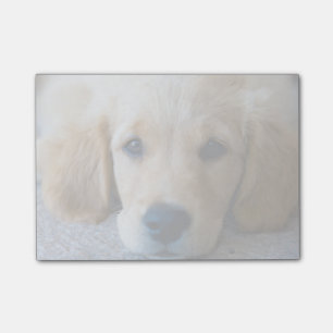 Süßer, süßer Welpe Post-it Klebezettel