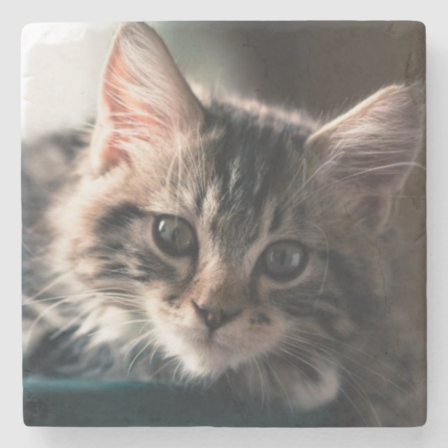 Süßer Tabby Steinuntersetzer (Vorderseite)