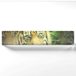 Süßer Tiger Namensplakette