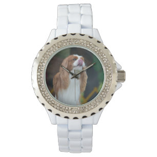 Süßer unbekümmerter Königcharles Spaniel Armbanduhr