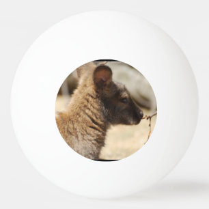 Süßer Wallaby Tischtennisball