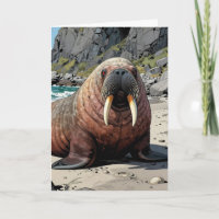 Süßer Walross auf einem Sandstrand | Alles Gute zu