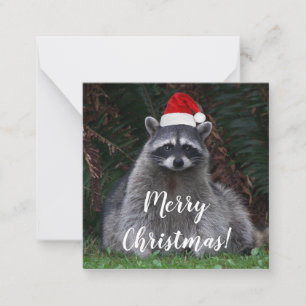 Süßer Waschbär mit roter Santa-Mütze Mitteilungskarte