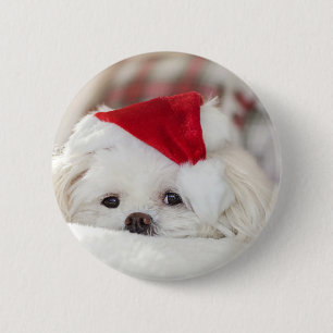 Süßer weißer Hund in einem roten Weihnachtsmannhut Button