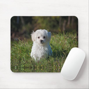 Süßer weißer Welpe Mousepad